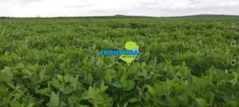 EXCPECIONAL FAZENDA: 18ª foto da galeria de imagens do imóvel