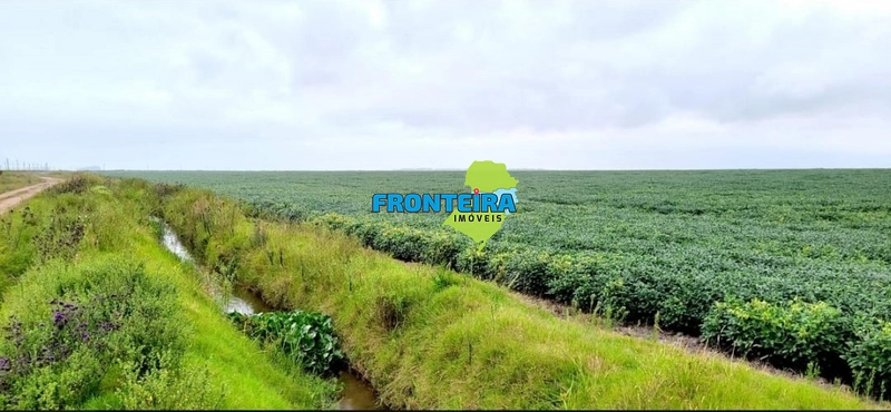 EXCPECIONAL FAZENDA: 6ª foto da galeria de imagens do imóvel