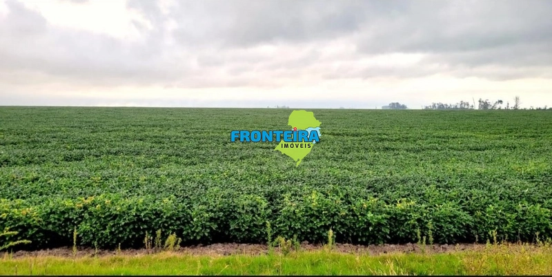 EXCPECIONAL FAZENDA: 8ª foto da galeria de imagens do imóvel