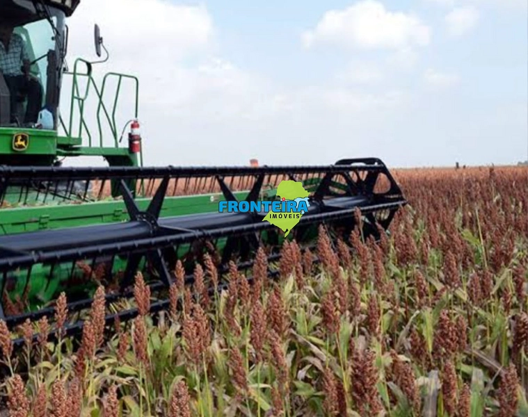 FAZENDA EM SALTO - 100%: 3ª foto da galeria de imagens do imóvel