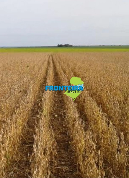 FAZENDA EM SALTO - 100%: 9ª foto da galeria de imagens do imóvel