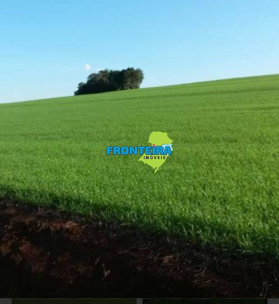 FAZENDA EM SALTO - 100%: 6ª foto da galeria de imagens do imóvel