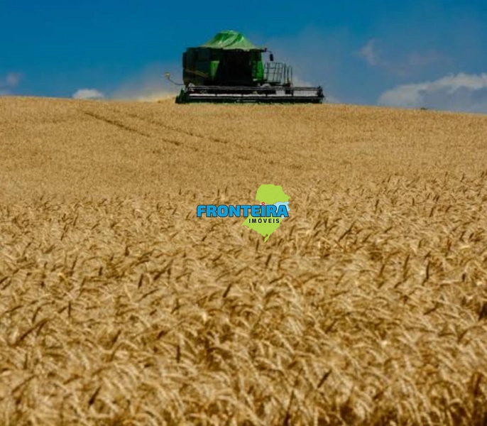 FAZENDA EM SALTO - 100%: 1ª foto da galeria de imagens do imóvel