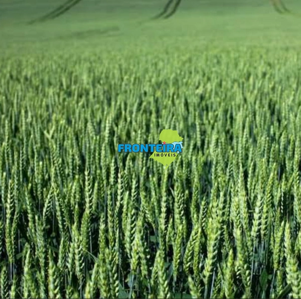 FAZENDA EM SALTO - 100%: 8ª foto da galeria de imagens do imóvel