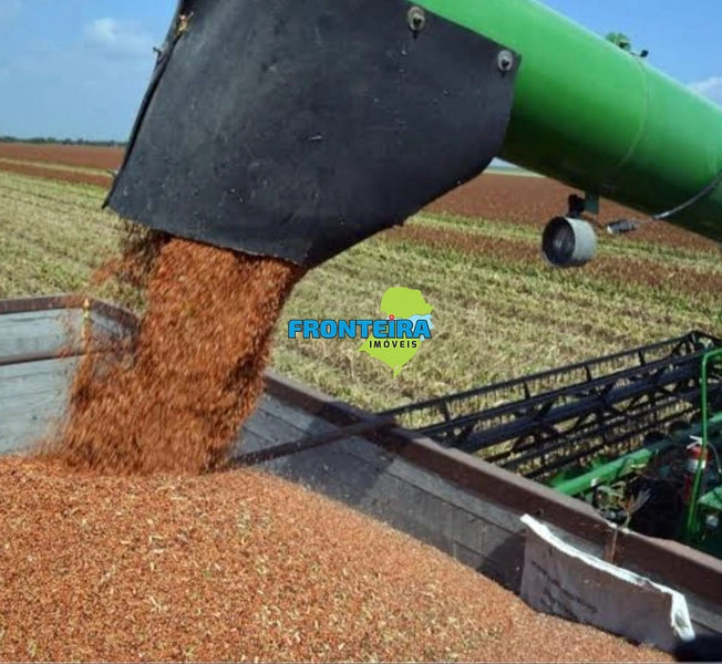 FAZENDA EM SALTO - 100%: 5ª foto da galeria de imagens do imóvel