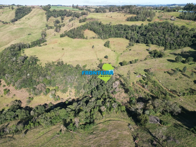 Área Rural: 6ª foto da galeria de imagens do imóvel