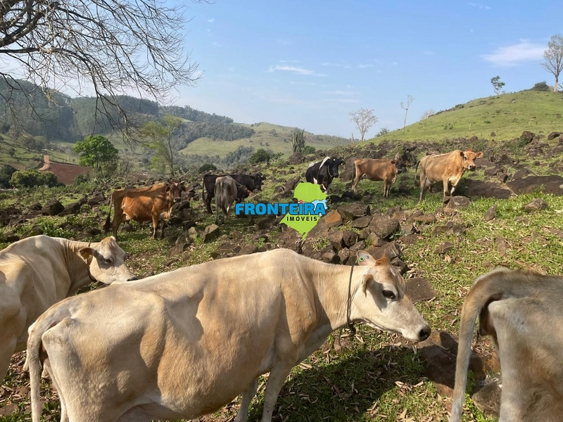 Área Rural PRONTA: 19ª foto da galeria de imagens do imóvel