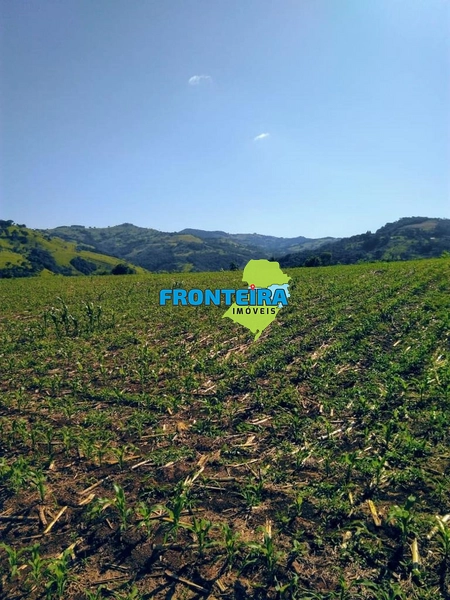 Excelente Fazenda no PR: 7ª foto da galeria de imagens do imóvel