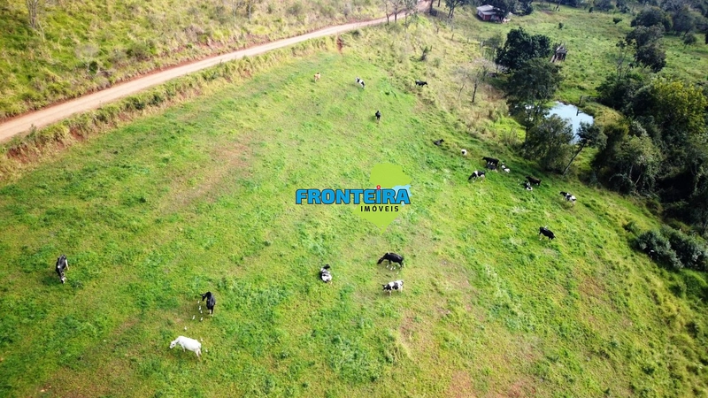 Excelente Fazenda no PR: 12ª foto da galeria de imagens do imóvel