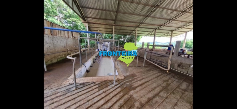 Excelente Fazenda no PR: 2ª foto da galeria de imagens do imóvel