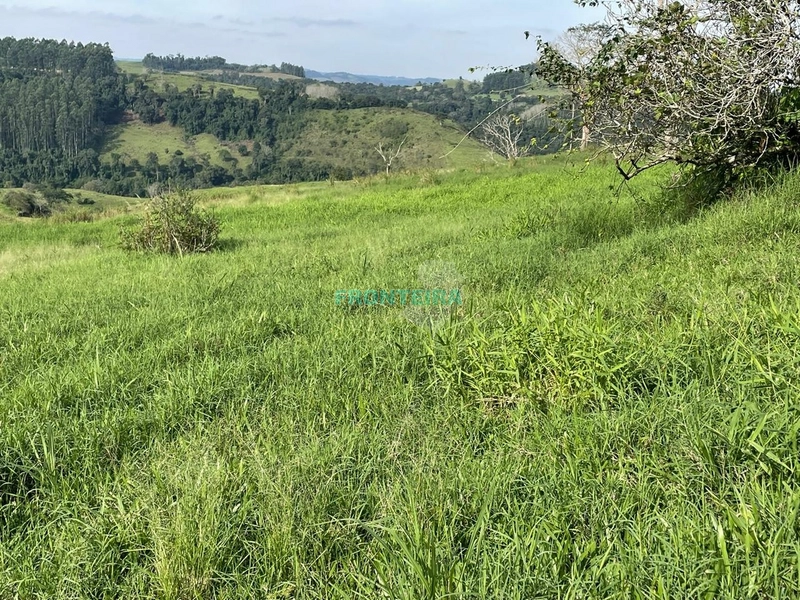 Fazenda de Porteira Fechada: 7ª foto da galeria de imagens do imóvel