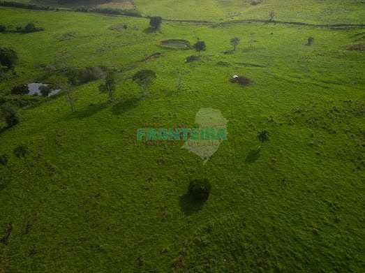 Fazenda de Porteira Fechada: 23ª foto da galeria de imagens do imóvel