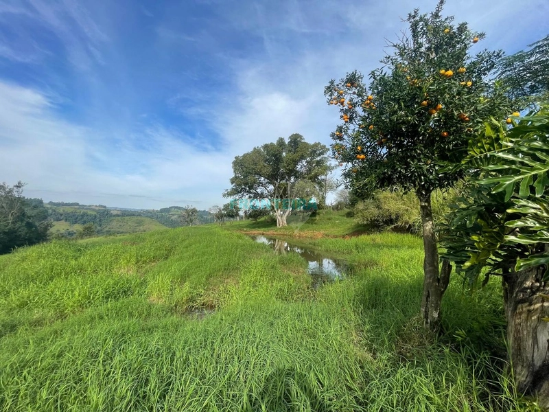 Fazenda de Porteira Fechada: 10ª foto da galeria de imagens do imóvel
