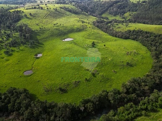 Fazenda de Porteira Fechada: 25ª foto da galeria de imagens do imóvel