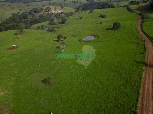 Fazenda de Porteira Fechada: 24ª foto da galeria de imagens do imóvel