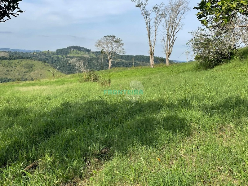 Fazenda de Porteira Fechada: 8ª foto da galeria de imagens do imóvel