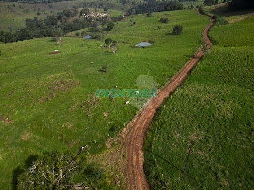 Fazenda de Porteira Fechada: 13ª foto da galeria de imagens do imóvel