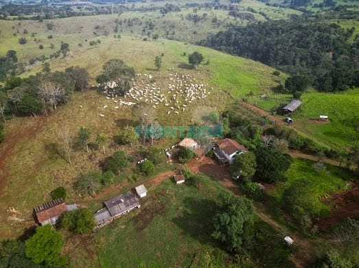 Fazenda de Porteira Fechada: 22ª foto da galeria de imagens do imóvel
