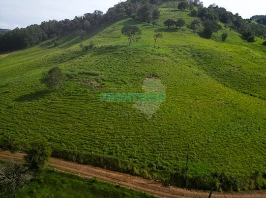 Fazenda de Porteira Fechada: 14ª foto da galeria de imagens do imóvel