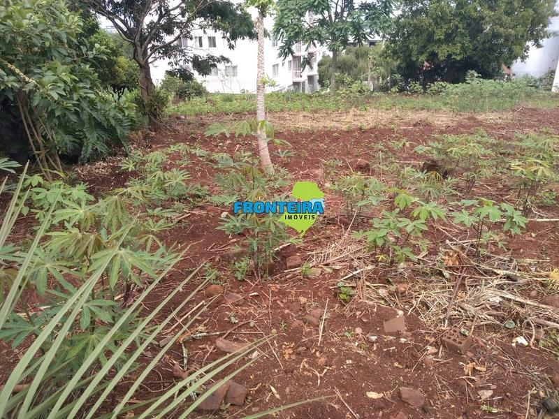 Terreno Comercial/Residencial: 5ª foto da galeria de imagens do imóvel