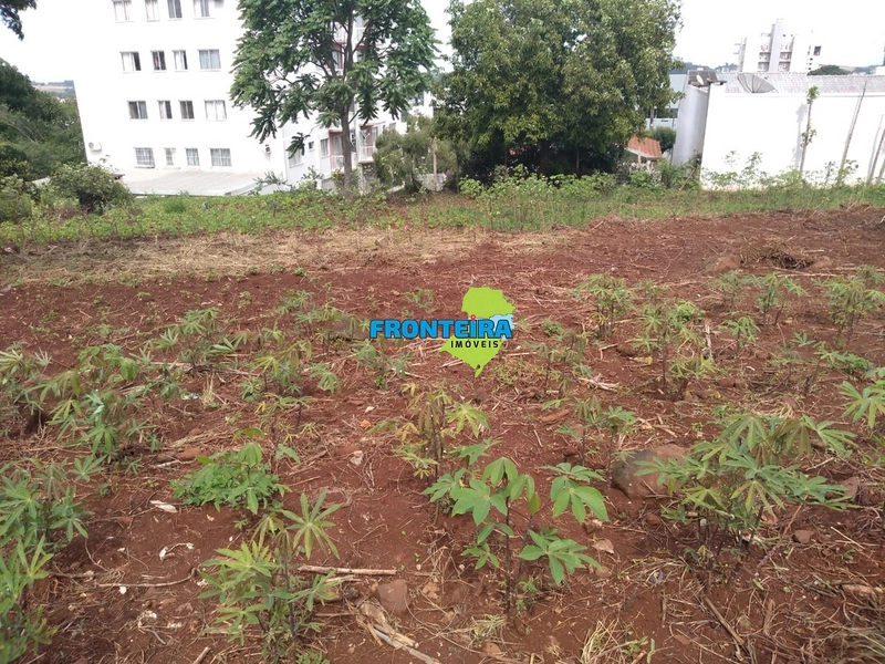 Terreno Comercial/Residencial: 7ª foto da galeria de imagens do imóvel