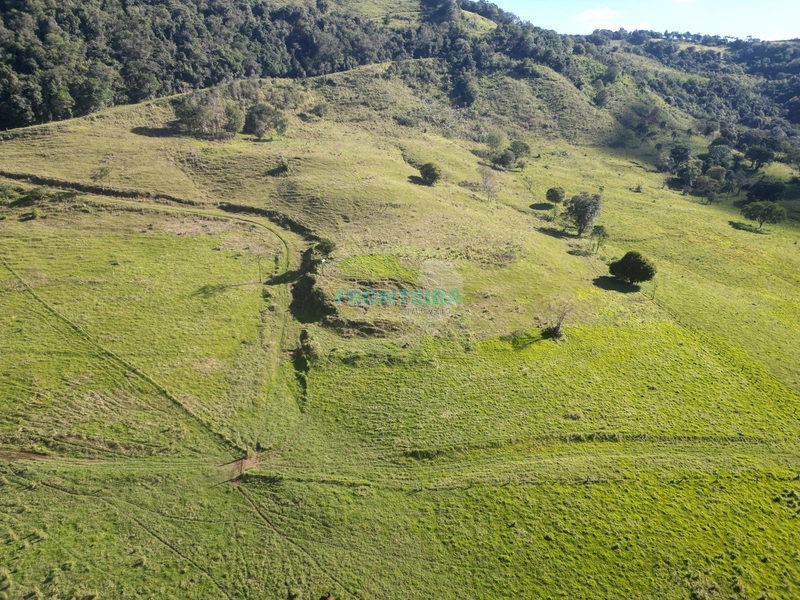 Fazenda - Ótimo Custo Beneficio: 10ª foto da galeria de imagens do imóvel