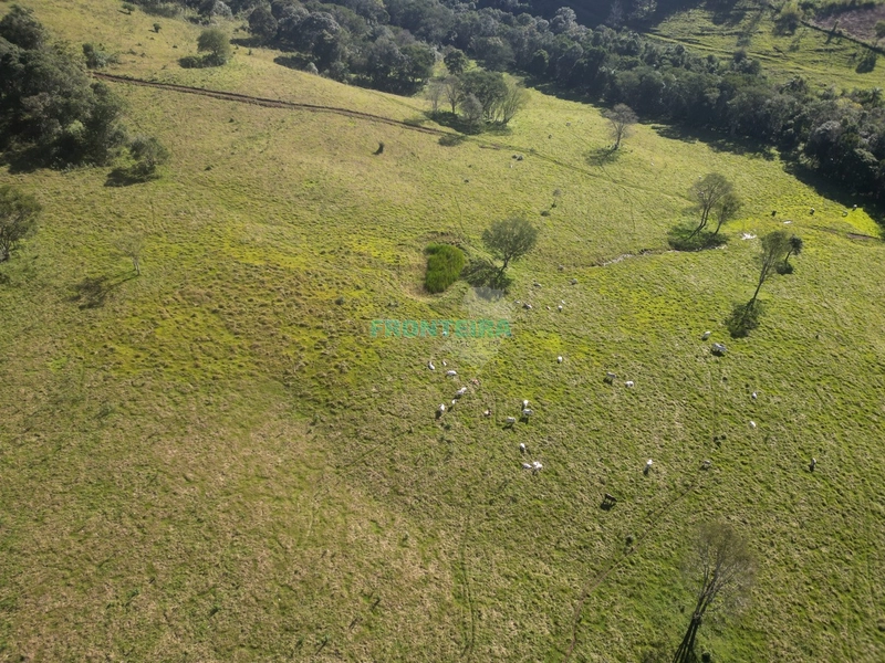 Fazenda - Ótimo Custo Beneficio: 5ª foto da galeria de imagens do imóvel