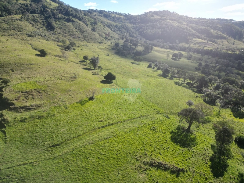 Fazenda - Ótimo Custo Beneficio: 11ª foto da galeria de imagens do imóvel