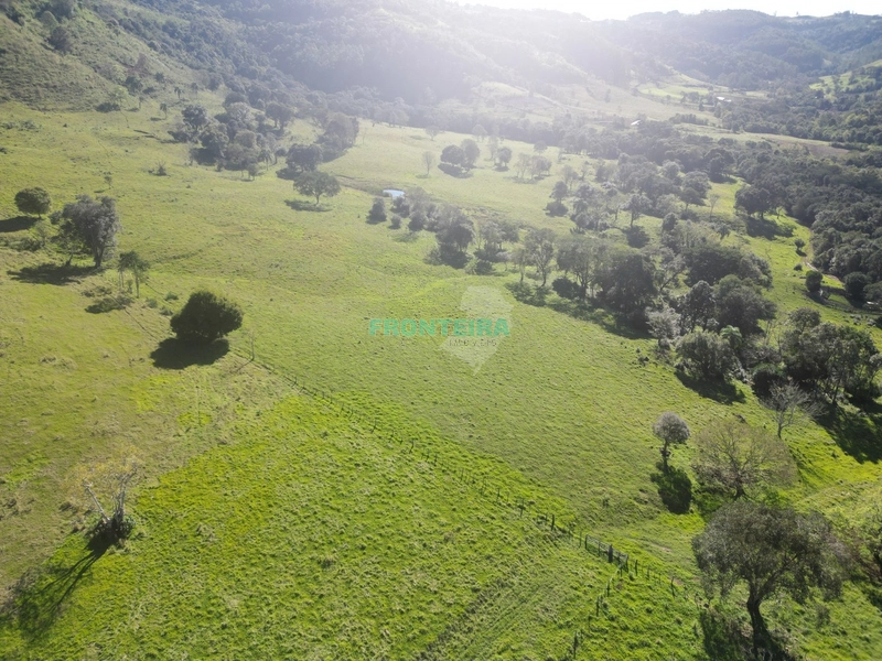 Fazenda - Ótimo Custo Beneficio: 2ª foto da galeria de imagens do imóvel