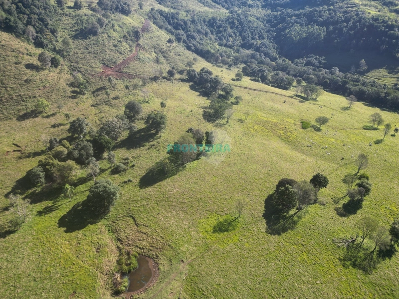 Fazenda - Ótimo Custo Beneficio: 4ª foto da galeria de imagens do imóvel