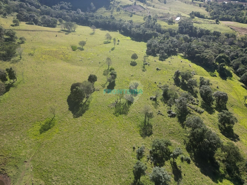 Fazenda - Ótimo Custo Beneficio: 3ª foto da galeria de imagens do imóvel