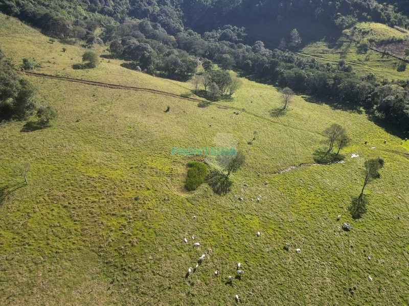Fazenda - Ótimo Custo Beneficio: 6ª foto da galeria de imagens do imóvel