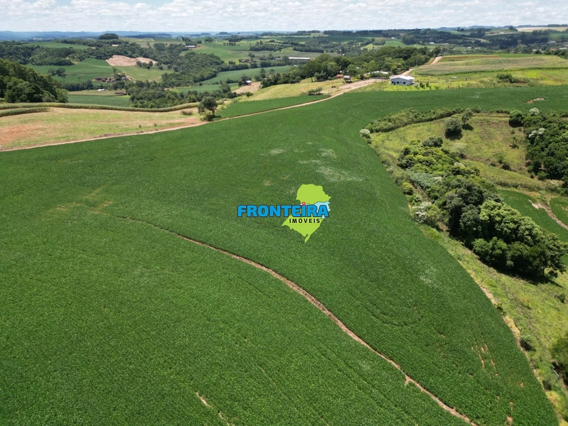 Linda Área Rural: 11ª foto da galeria de imagens do imóvel