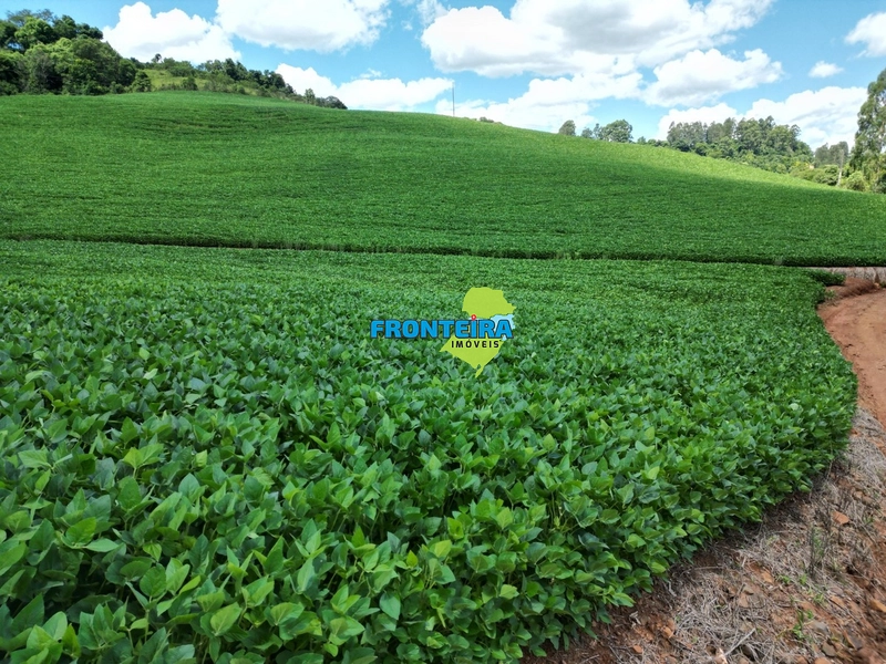 Linda Área Rural: 9ª foto da galeria de imagens do imóvel