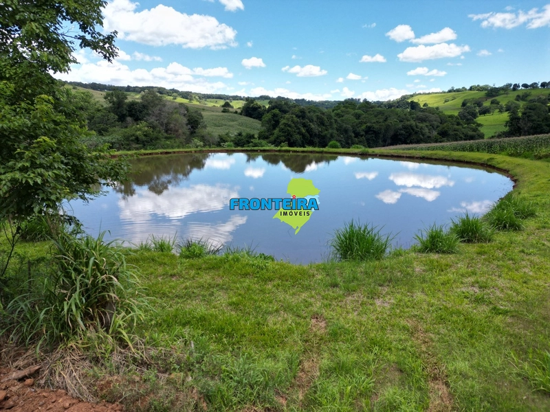 Linda Área Rural: 7ª foto da galeria de imagens do imóvel