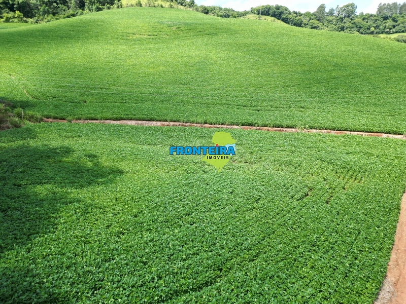 Linda Área Rural: 10ª foto da galeria de imagens do imóvel