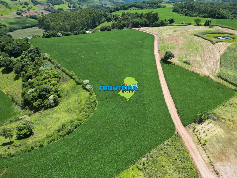 Linda Área Rural: 21ª foto da galeria de imagens do imóvel