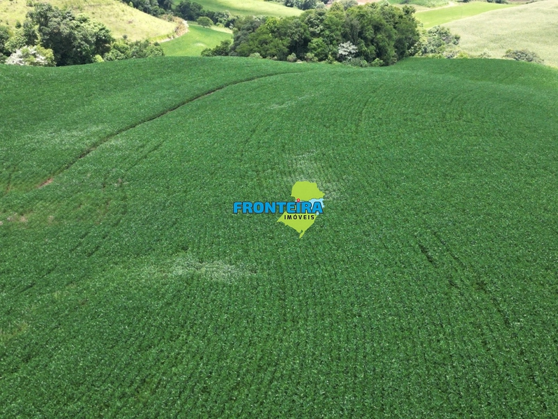 Linda Área Rural: 4ª foto da galeria de imagens do imóvel