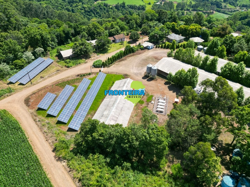 Granja de Avicultura de Corte: 5ª foto da galeria de imagens do imóvel