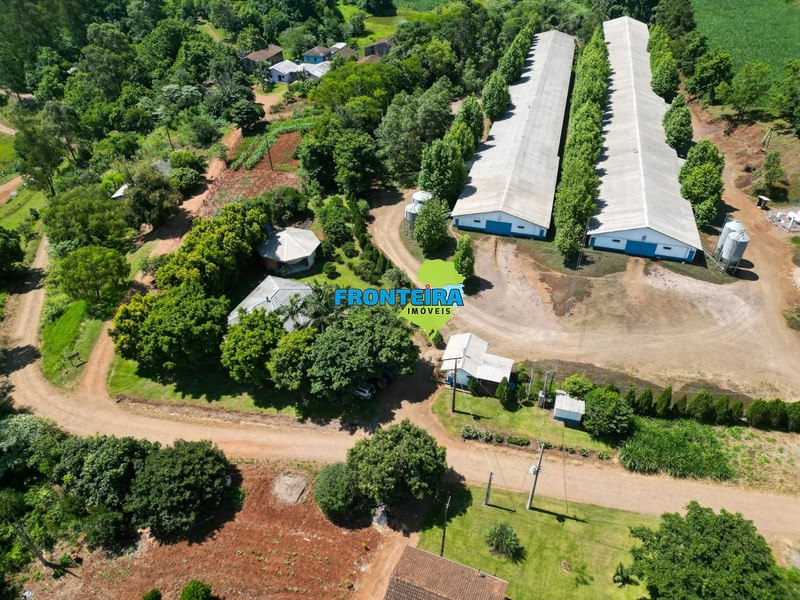 Granja de Avicultura de Corte: 4ª foto da galeria de imagens do imóvel