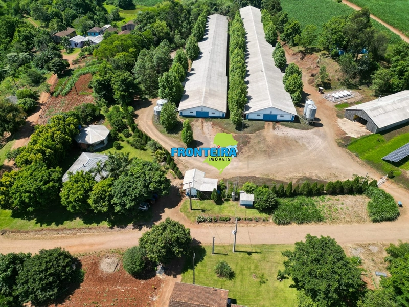 Granja de Avicultura de Corte: 1ª foto da galeria de imagens do imóvel