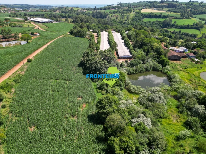 Granja de Avicultura de Corte: 18ª foto da galeria de imagens do imóvel