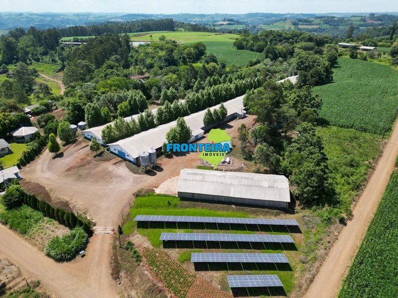 Granja de Avicultura de Corte: 6ª foto da galeria de imagens do imóvel