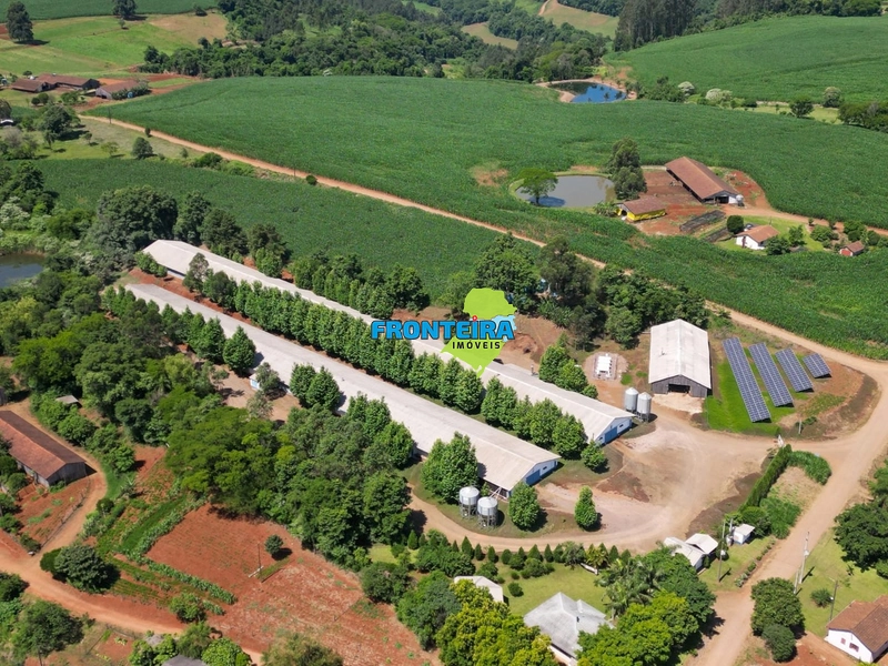 Granja de Avicultura de Corte: 7ª foto da galeria de imagens do imóvel