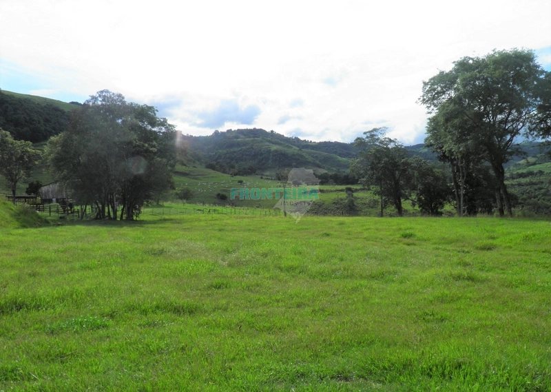 Fazenda Pecuaria de Corte: 6ª foto da galeria de imagens do imóvel