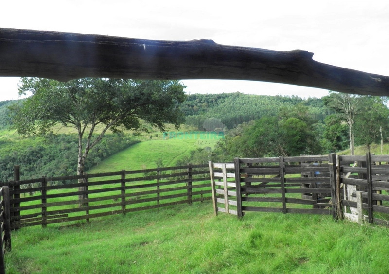 Fazenda Pecuaria de Corte: 4ª foto da galeria de imagens do imóvel