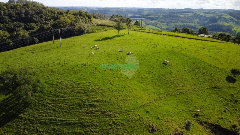 Fazenda Pecuaria de Corte: 21ª foto da galeria de imagens do imóvel
