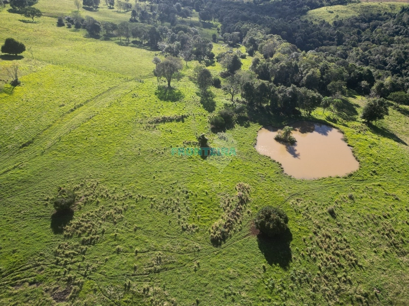 Fazenda Pecuaria de Corte: 12ª foto da galeria de imagens do imóvel