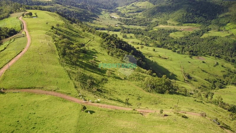 Fazenda Pecuaria de Corte: 19ª foto da galeria de imagens do imóvel