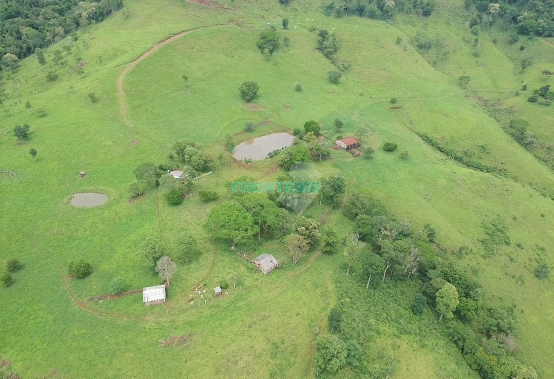 Fazenda Pecuaria de Corte: 9ª foto da galeria de imagens do imóvel